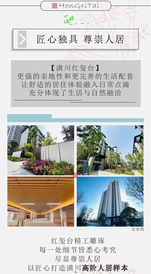 潢川头条最新爆料,最新爆料事件深度解析